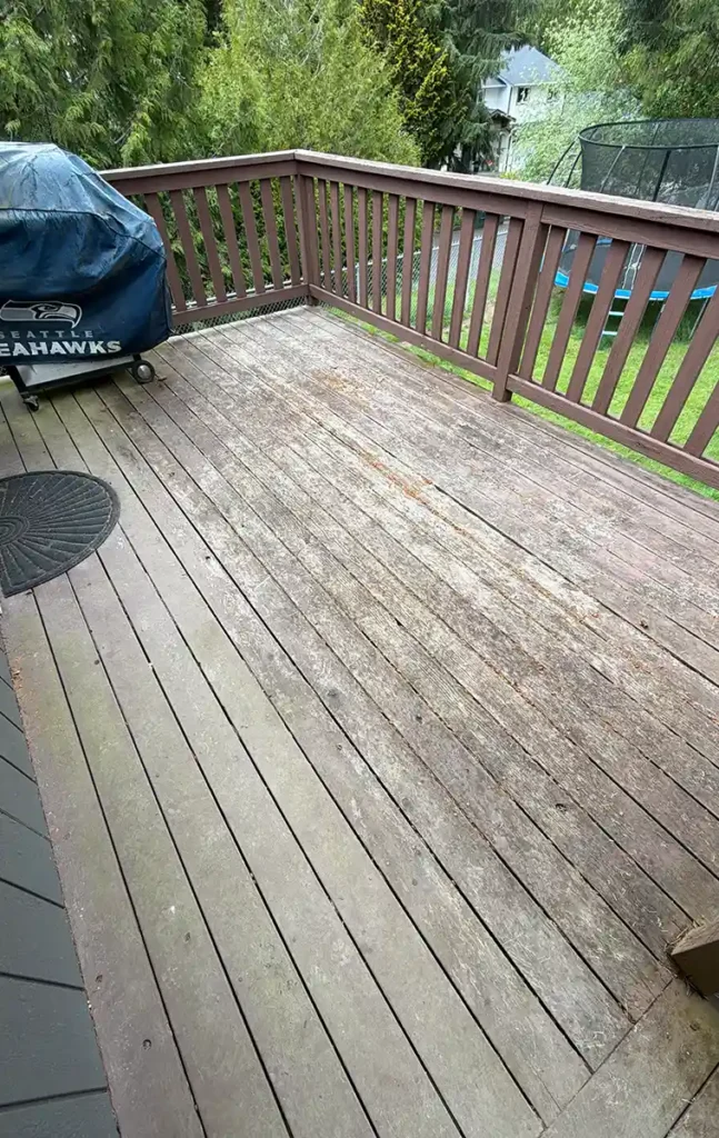 The Canopy Gray Deck — Before